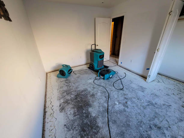 Best Professional water damage repair  in Krum, TX