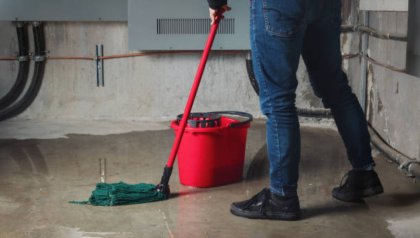 Best Carpet water damage restoration  in Krum, TX