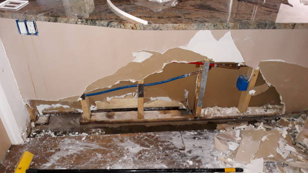Best Water damage cleanup near me  in Krum, TX