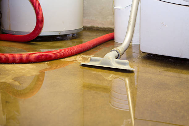 Best Water damage restoration near me  in Krum, TX