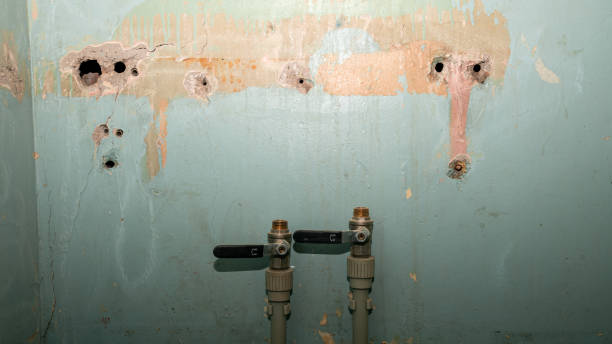 Best Ceiling water damage repair  in Krum, TX